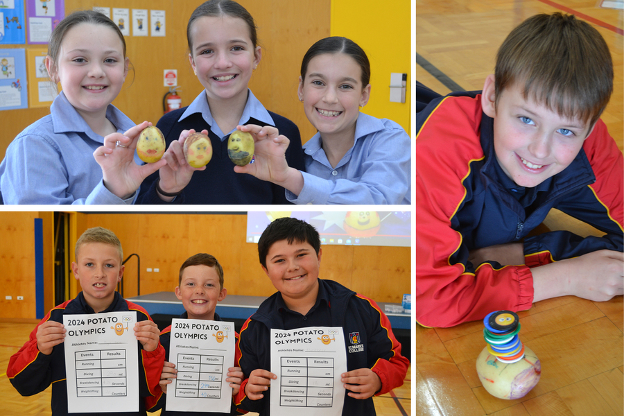 STEAM > Our Year 4 and 5 students competed in the 'Potato Olympics' yesterday! Their decorated spuds were certainly no 'couch potatoes'! They competed in diving, running, breakdancing, and weightlifting while the students timed, measured and recorded all of their results! 