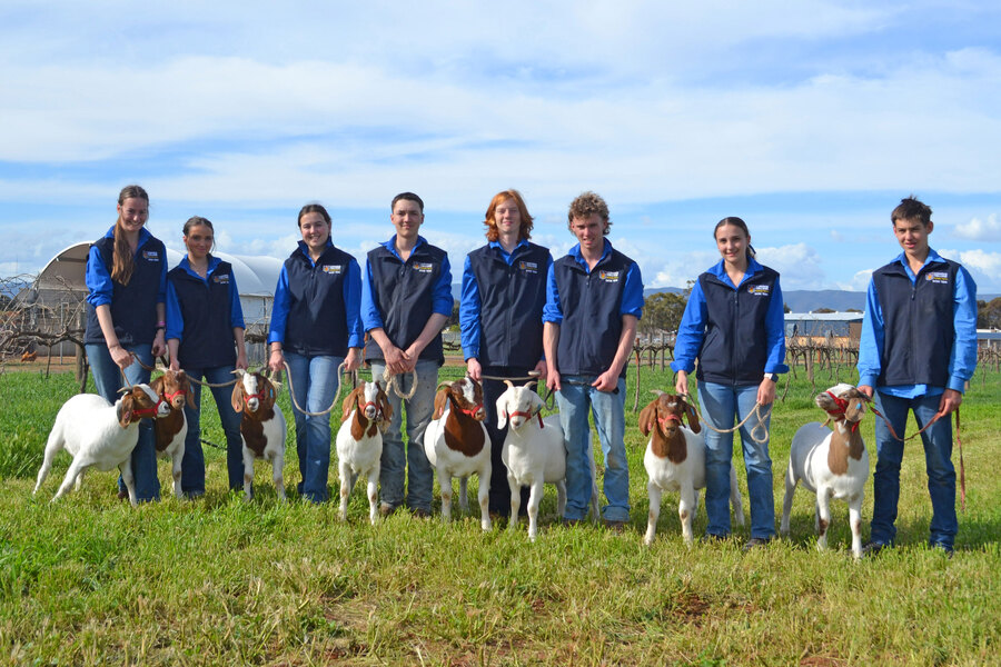 ADELAIDE SHOW > Ag Immersion Group students with the boer goats heading to the Adelaide Show. Pictured are Chloe, Kodi, Millie, Osvcar, George, Brody, Sophie and Cooper