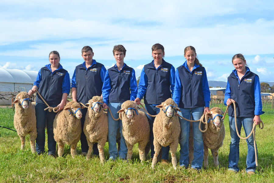 ADELAIDE SHOW > Ag Immersion Group students with the merino heading to the Adelaide Show. Pictured are Jess, Mitchell, Bailey, Kycee, Charli and Alex.