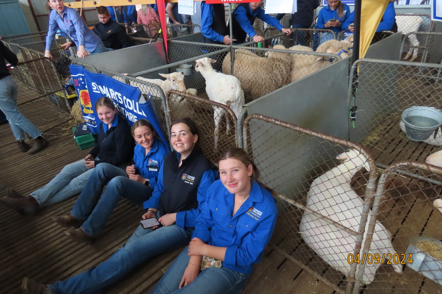 Emma, Alex, Millie and Annabelle with the Boer Goats.