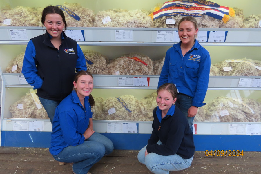 Students with wool-St Mark’s placed first & second in our zone in School Merino Fleece Competition.