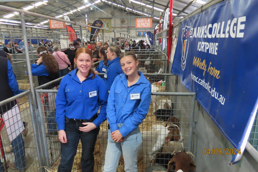 Emily and Lara with the Boer Goats.