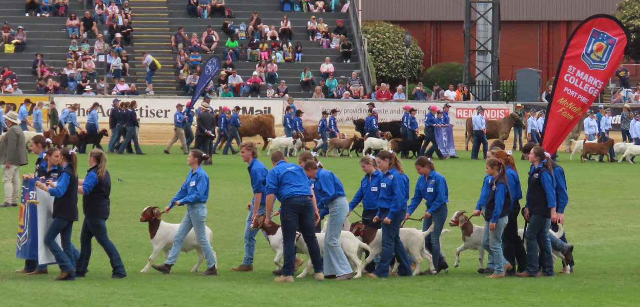 The Grand Parade