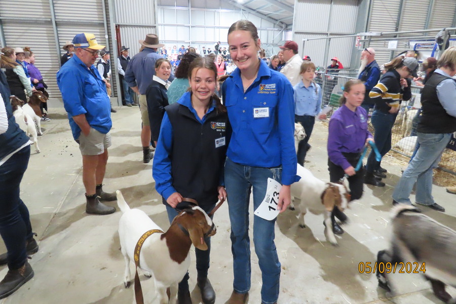 Ruby H along with her goat ‘Houdini’ and Chloe H (Goat Handler Mentor) won a fifth place ribbon,