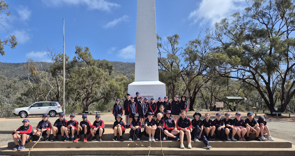 Year 5s enjoying their excursion to Melrose and on the Pichi Richi.