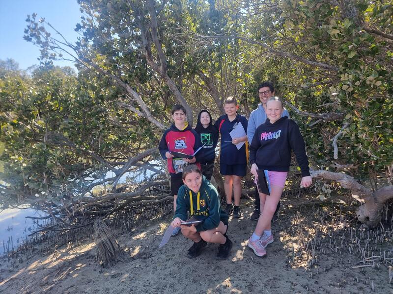 SCIENCE > Year 7 students exploring the mangroves at Weerona Island.