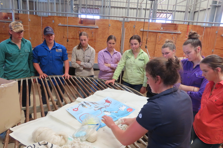 AGRICULTURE > Students completed a one-day shearing and wool handling workshop at McNally Farm.