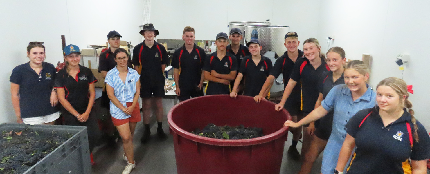 AGRICULTURE > Year 11 students pressing the grapes for wine.